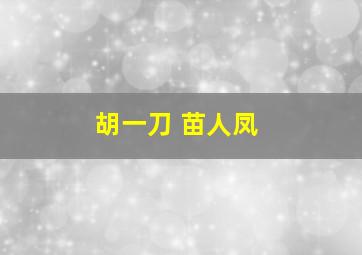 胡一刀 苗人凤